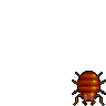 Bug