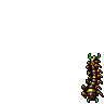 Centipede