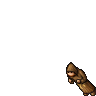 Dark Monk