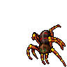 Giant Spider