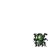 Scarab