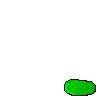 Slime