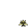 Wasp
